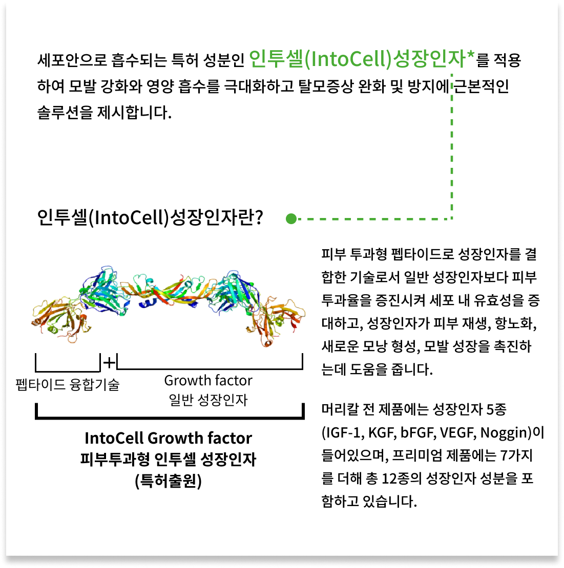 기술 설명